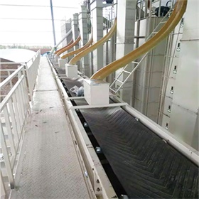 懸空輸送機6